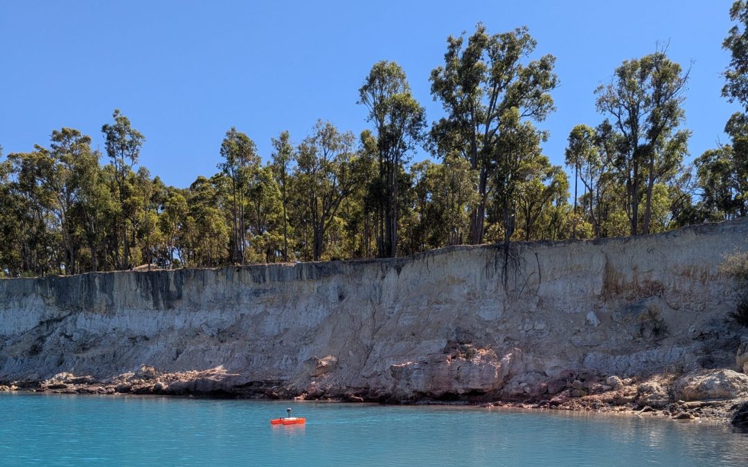 What are Bathymetric Surveys used for?